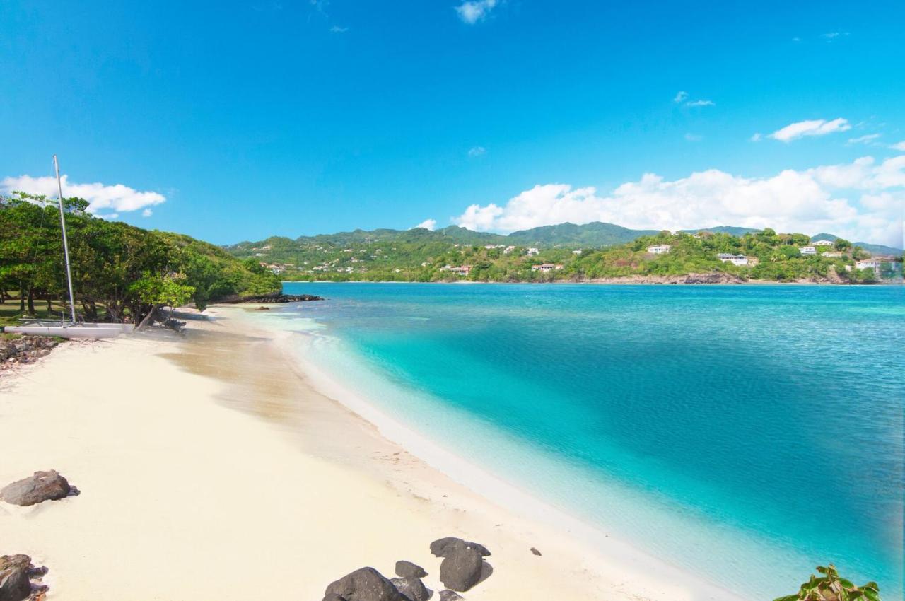 473 Grenada Boutique Resort St. George's ภายนอก รูปภาพ