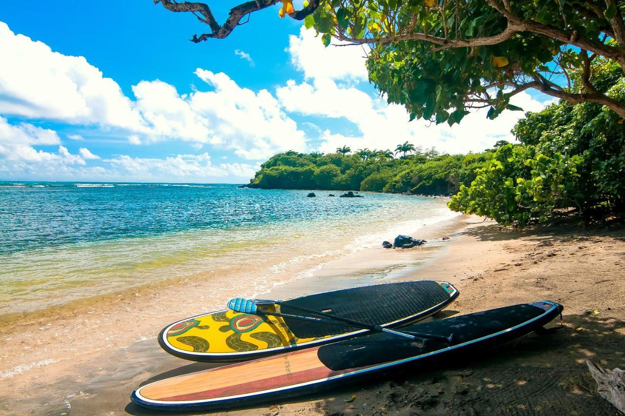 473 Grenada Boutique Resort St. George's ภายนอก รูปภาพ