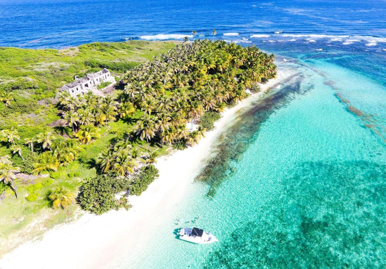 473 Grenada Boutique Resort St. George's ภายนอก รูปภาพ